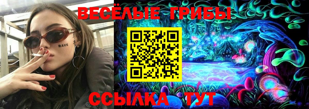 Галлюциногенные грибы мухоморы  Галлюциногенные грибы Cubensis  Михайловск  Вход с VPN 