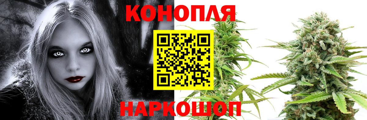 МАРИХУАНА ГИДРОПОН Михайловск